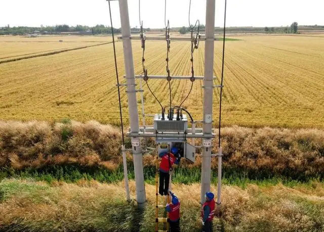 配電箱助力“電力保”―農民有了“電力?！碑a業(yè)發(fā)展質效
