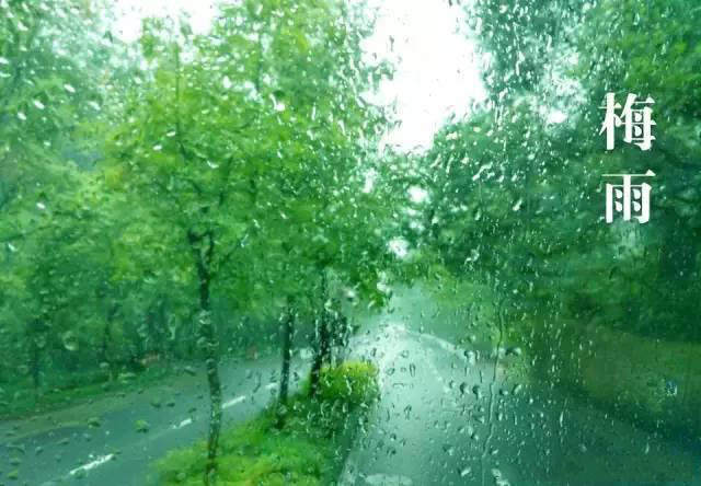 梅雨季節(jié)，如何解決配電箱回潮？給你支招